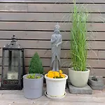 Beautiful 3 Bedroom Modern House With Patio